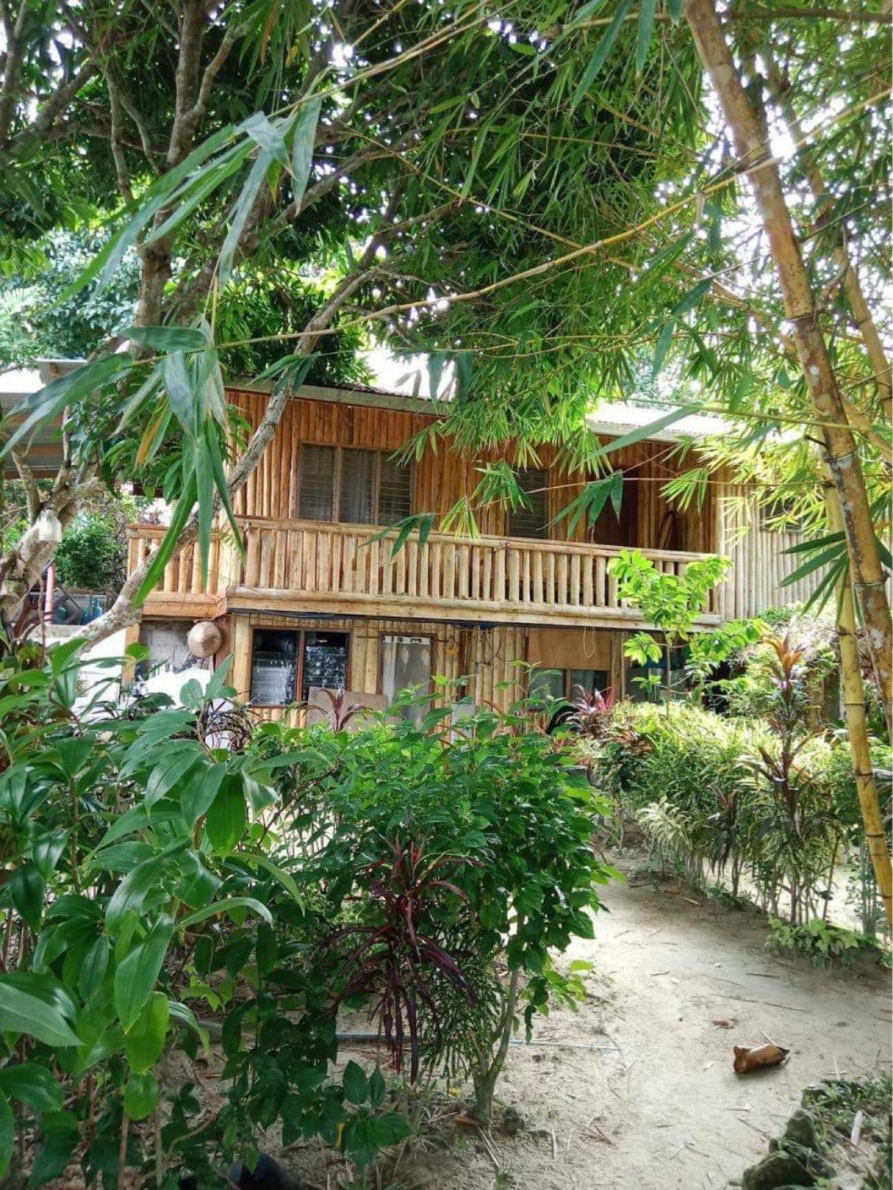 Port Barton - Paradiso beach resort San Vicente  Exterior foto